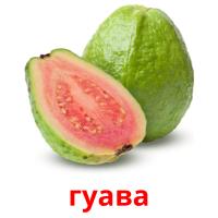 гуава card for translate