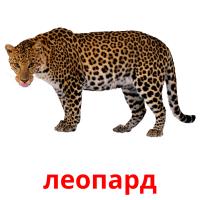 леопард карточки энциклопедических знаний