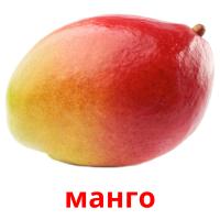 манго карточки энциклопедических знаний