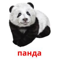 панда card for translate