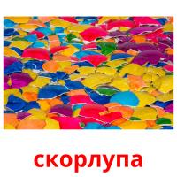 скорлупа card for translate