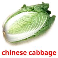 сhinese cabbage card for translate