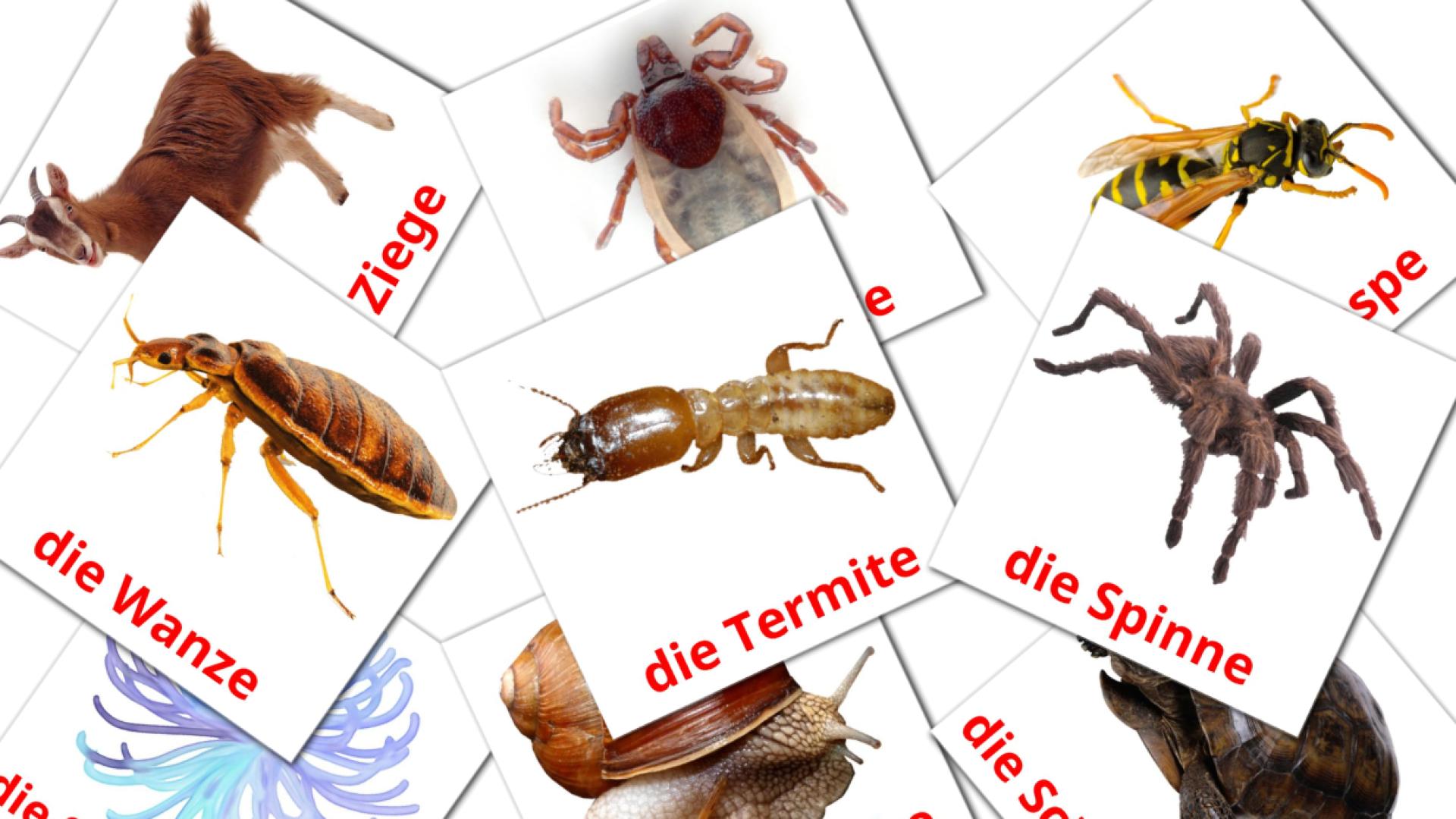 alemán tarjetas de vocabulario en Tiere