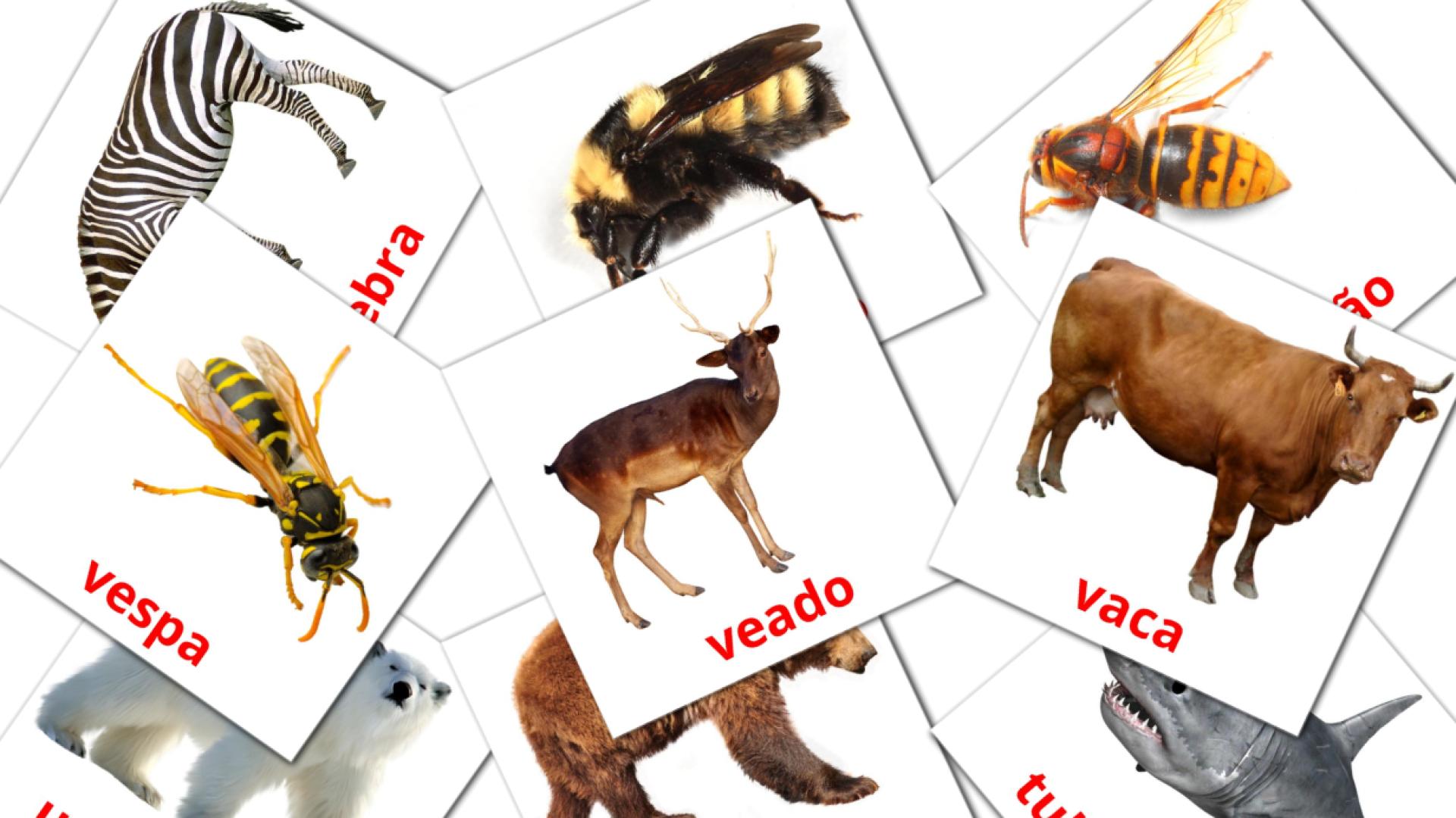 Animais Vocabulário em português Flashcards