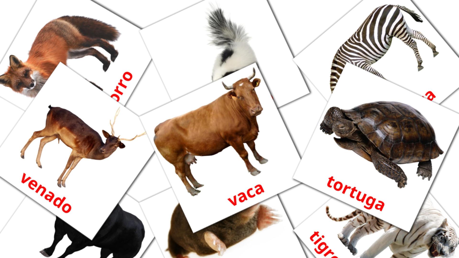 Fiches de vocabulaire espagnoles sur Animales