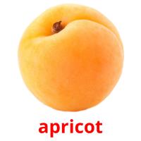 apricot picture flashcards