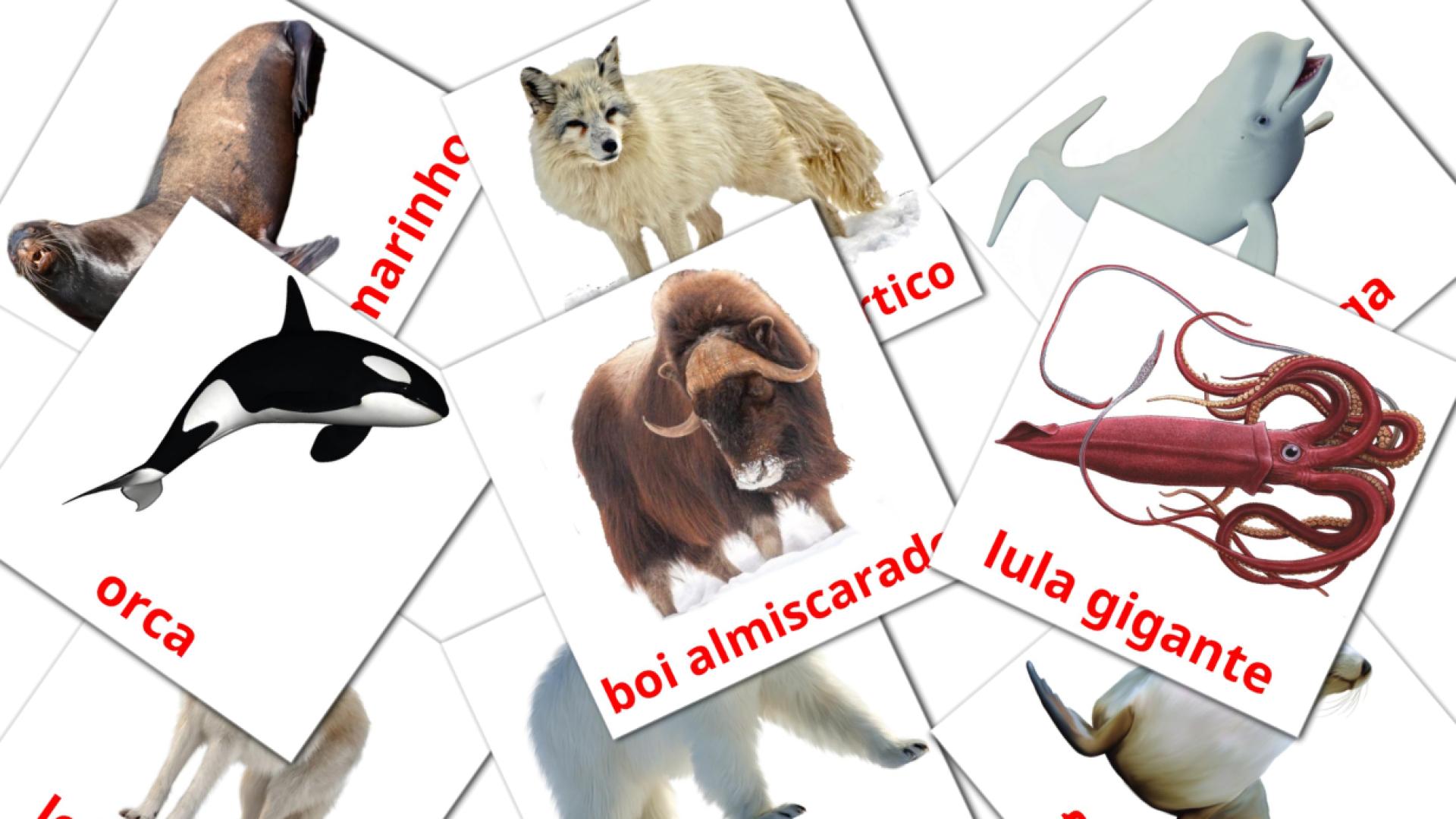 14 Flashcards de Animais do Ártico