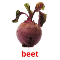beet picture flashcards