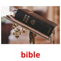bible picture flashcards