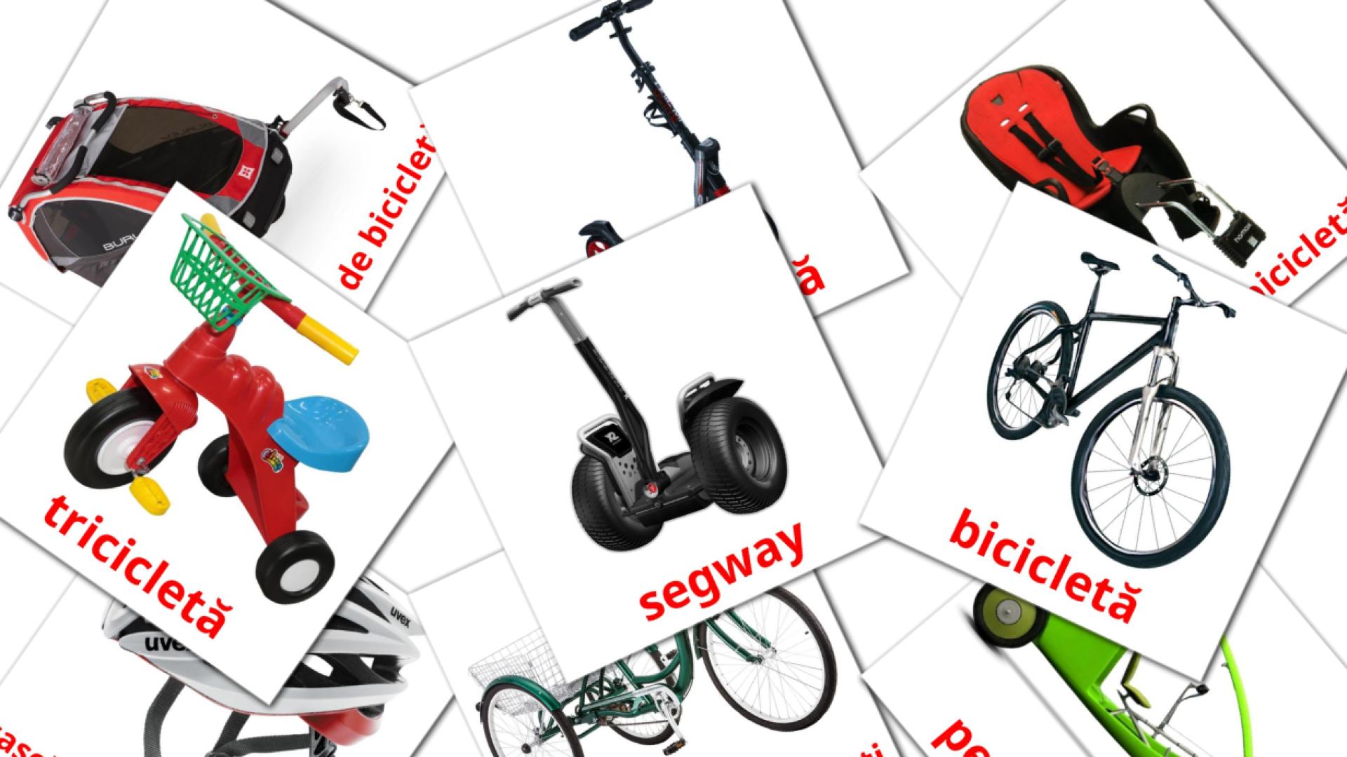 16 Bildkarten für Transport de biciclete