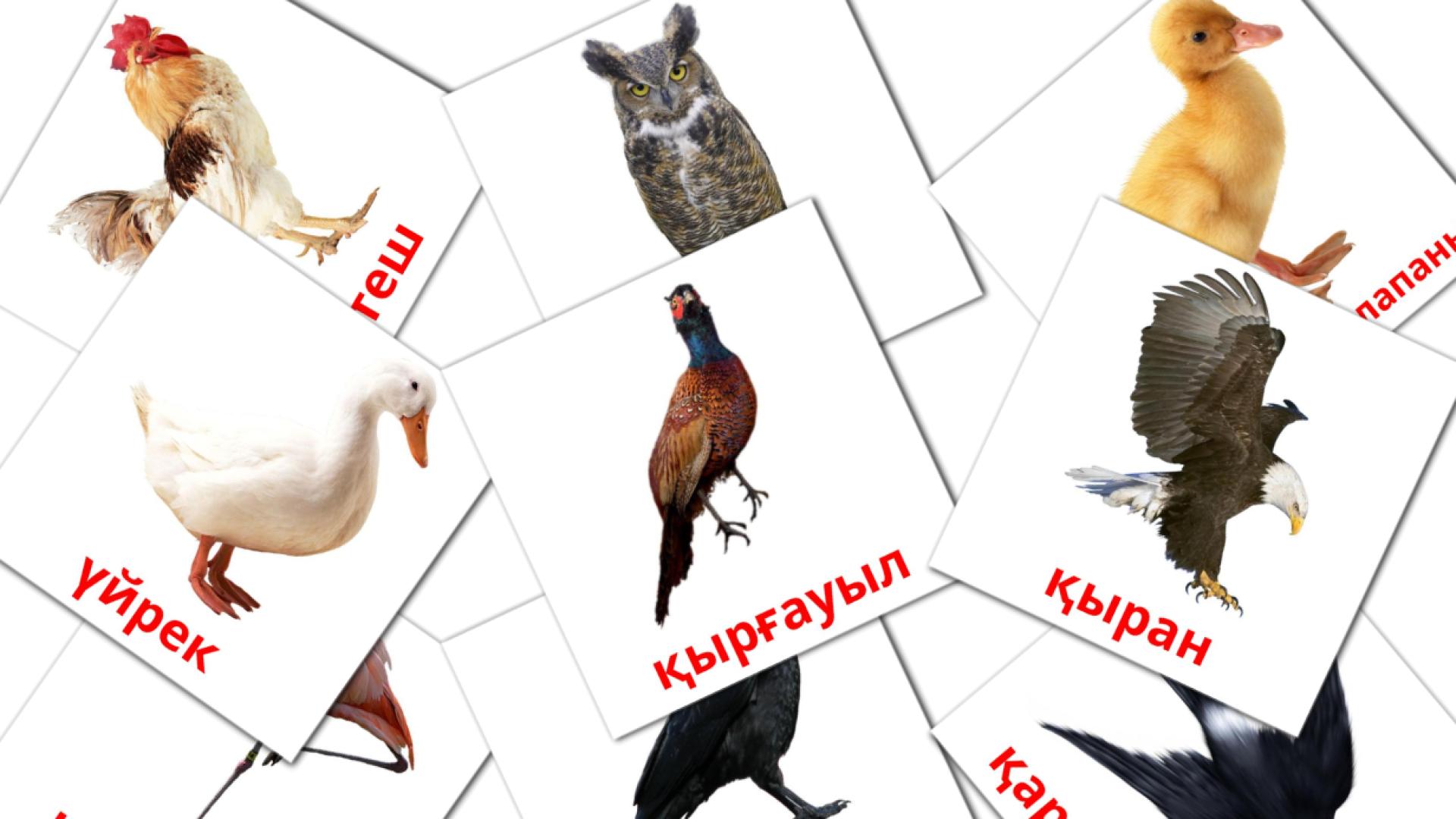 Карточки Домана КУС на казахском языке