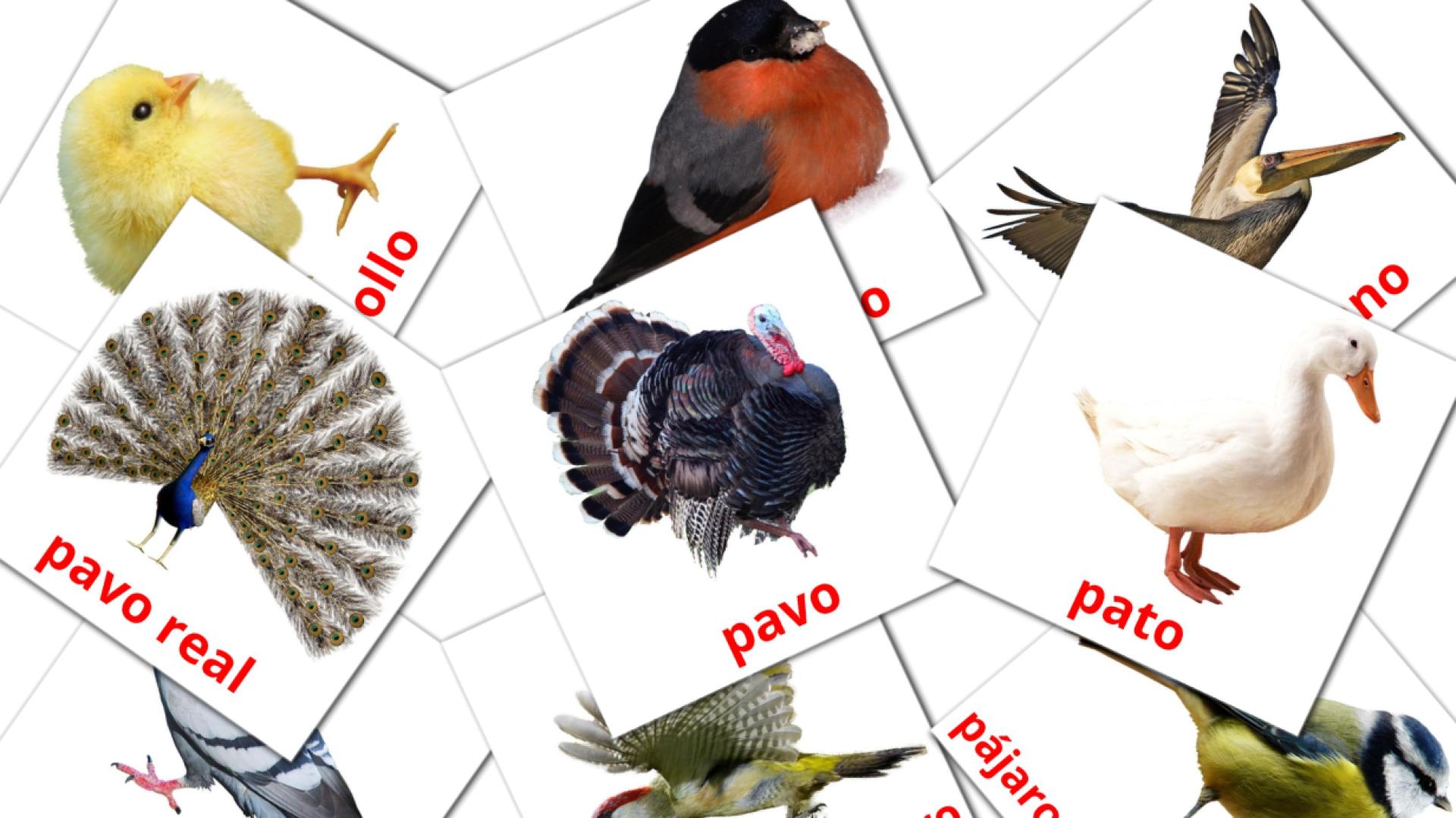 Aves Flashcards di vocabolario spagnolo
