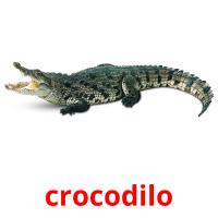 crocodilo cartões com imagens