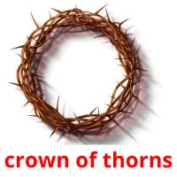crown of thorns picture flashcards
