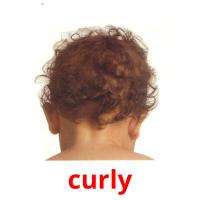 curly picture flashcards