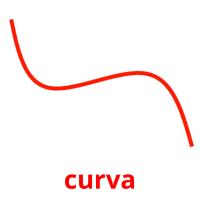 curva flashcards illustrate