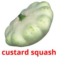 custard squash picture flashcards