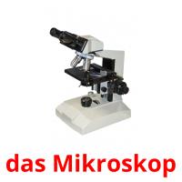 das Mikroskop Bildkarteikarten