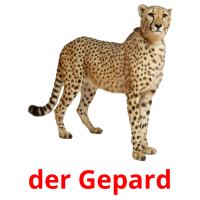 der Gepard card for translate