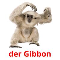 der Gibbon card for translate