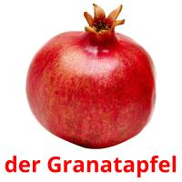 der Granatapfel card for translate
