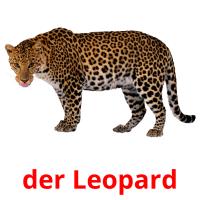 der Leopard Bildkarteikarten