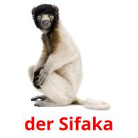 der Sifaka card for translate