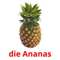 die Ananas Bildkarteikarten