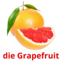 die Grapefruit Bildkarteikarten