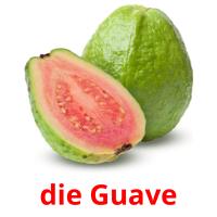 die Guave Bildkarteikarten
