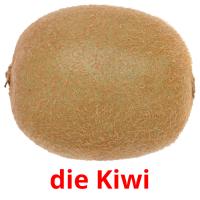 die Kiwi card for translate