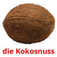 die Kokosnuss card for translate