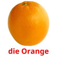 die Orange Bildkarteikarten