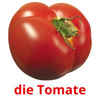 die Tomate Bildkarteikarten
