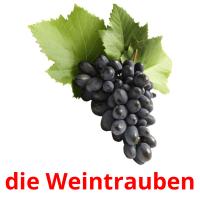 die Weintrauben card for translate
