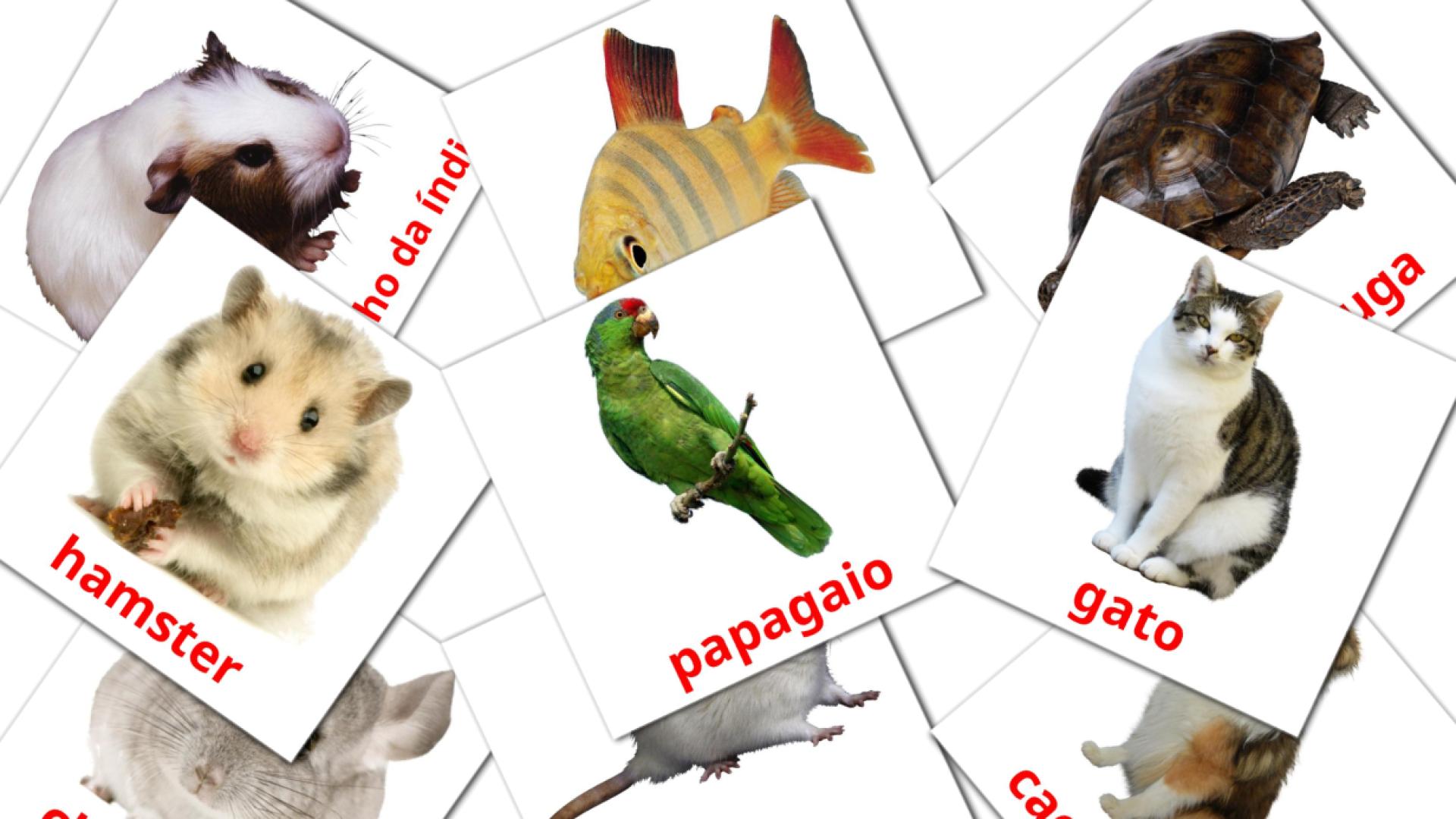 10 Flashcards de Animais Domésticos