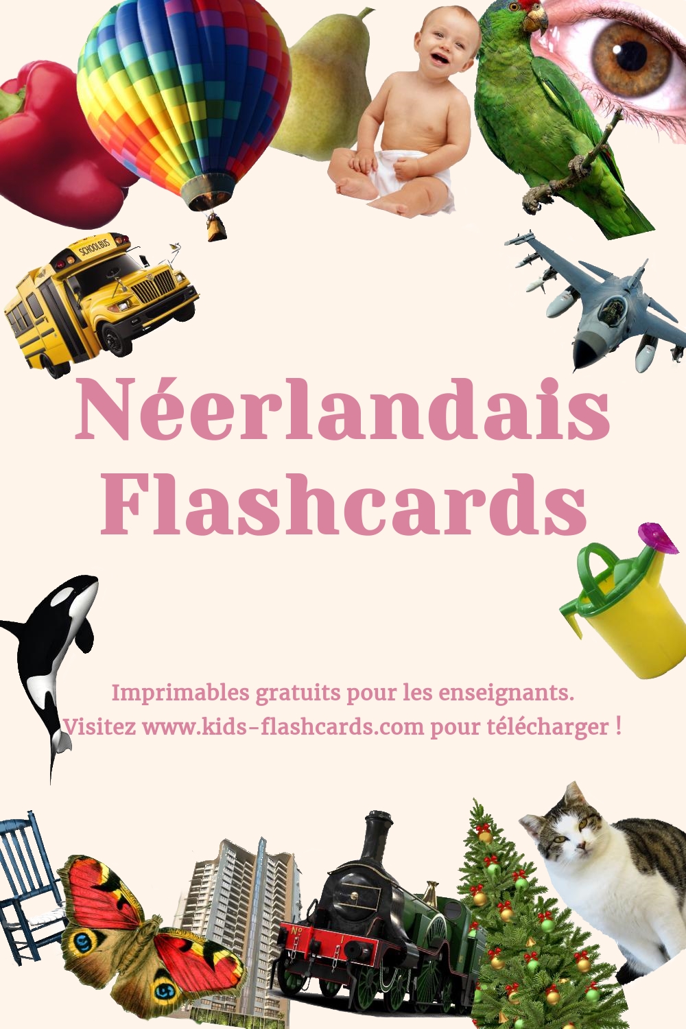 cartes de vocabulaire Néerlandais
