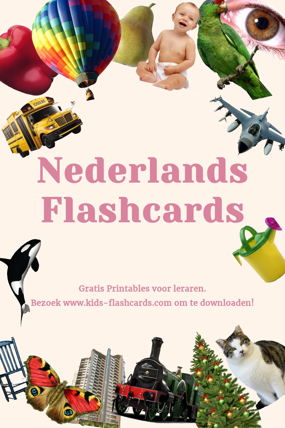 Nederlandse woordenschatkaarten