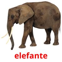 elefante flashcards illustrate