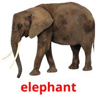 elephant card for translate