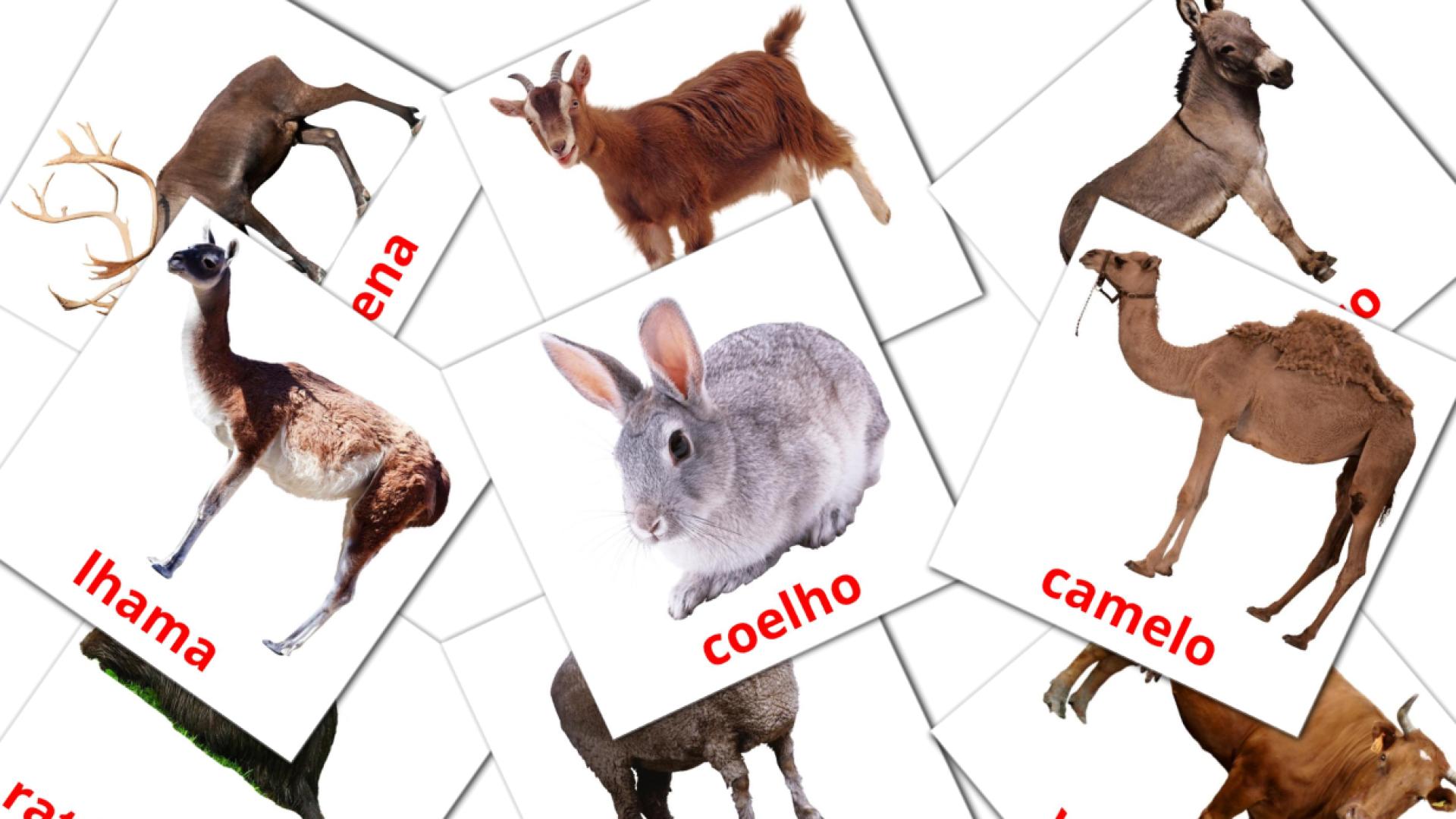 15 Flashcards de Animais da Fazenda