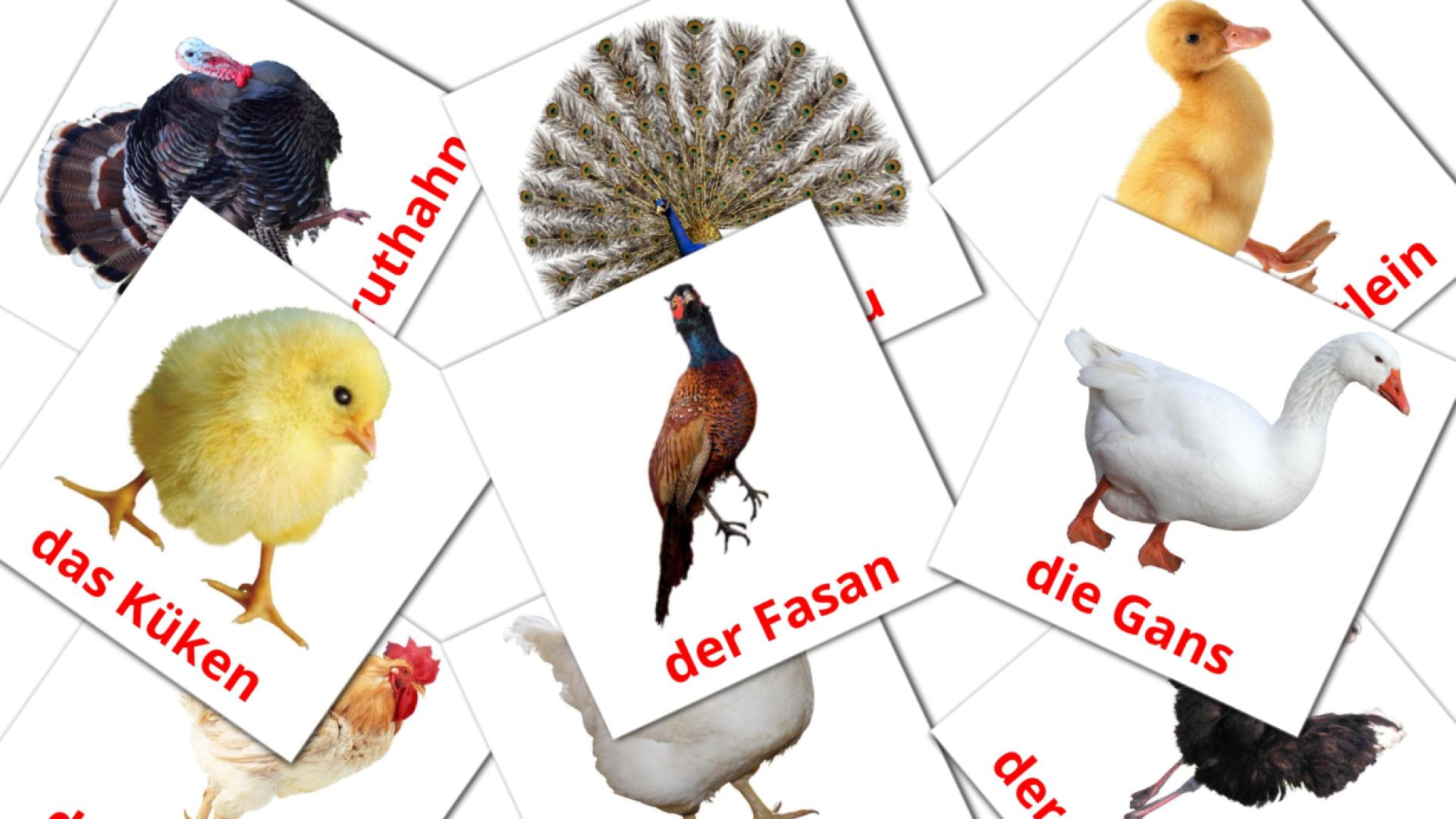 11 Bauernhof Vögel flashcards