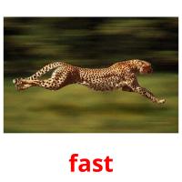 fast picture flashcards