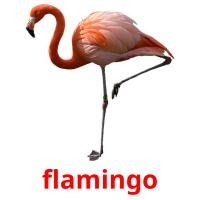 flamingo cartões com imagens