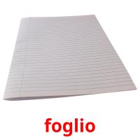 foglio flashcards illustrate