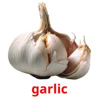 garlic picture flashcards