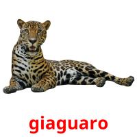 giaguaro card for translate
