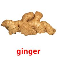 ginger card for translate