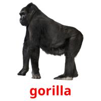 gorilla flashcards illustrate