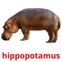 hippopotamus card for translate